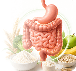 Supports Digestive Health